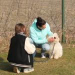 Hundeschule (6)